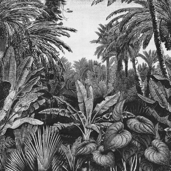 Papel de parede TROPICAL MORNINGS 17016-04 - LONDON ART Papel de parede TROPICAL MORNINGS 17016-04 - LONDON ART