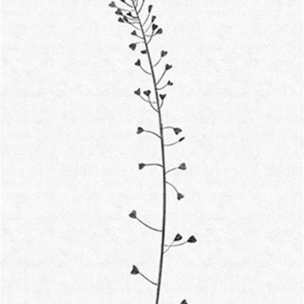Wallpaper THE SECOND WAVE 14150 06 - LONDON ART Wallpaper THE SECOND WAVE 14150 06 - LONDON ART
