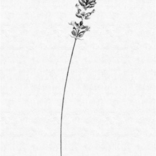Tapete THE SECOND WAVE 14150 08 - LONDON ART Tapete THE SECOND WAVE 14150 08 - LONDON ART