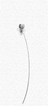Papel de parede THE SECOND WAVE 14150 02 - LONDON ART