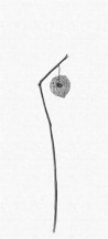 Tapete THE SECOND WAVE 14150 05 - LONDON ART