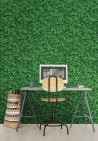 Papel de parede TROUBLE 14029 1 - LONDON ART