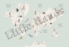 Papier peint Animals World Map IV - LITTLE HANDS