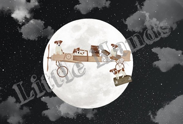Papel de parede Moonlight - LITTLE HANDS