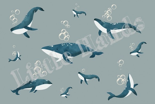 Papel de parede Whales I - LITTLE HANDS