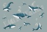 Papel de parede Whales I - LITTLE HANDS