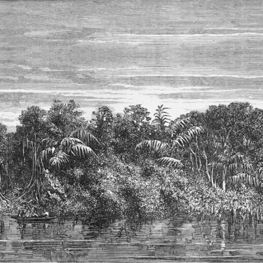 Carta da Parati JUNGLEI NKSINN1601 - INKIOSTRO BIANCO