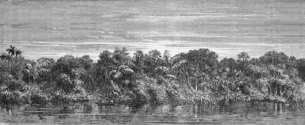 Papel de parede JUNGLEI NKSINN1601 - INKIOSTRO BIANCO