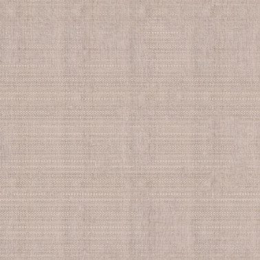 CAMELOPARDALIS INKHDGJ1602