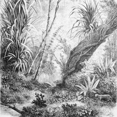 Tapete FORESTA INKDFFU1601 - INKIOSTRO BIANCO