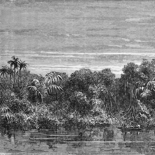 Papier peint JUNGLEI NKSINN1601 - INKIOSTRO BIANCO Papier peint JUNGLEI NKSINN1601 - INKIOSTRO BIANCO