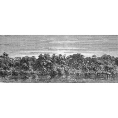 JUNGLEI NKSINN1601