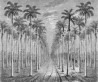 Papier peint PALMERAIE INKEEUU1601 - INKIOSTRO BIANCO