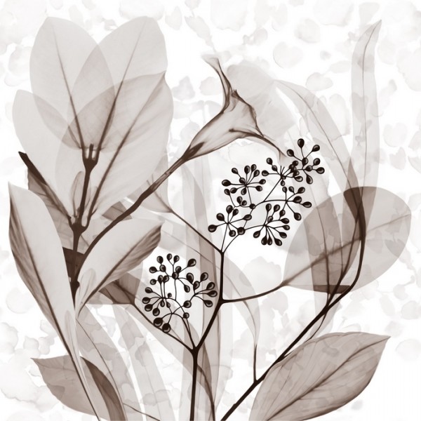 Wallpaper STAME INKENBE1601_B - INKIOSTRO BIANCO Wallpaper STAME INKENBE1601_B - INKIOSTRO BIANCO