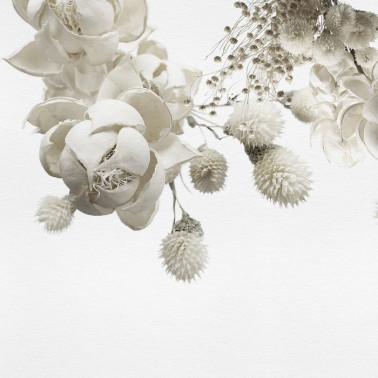 Papel de parede WINTER INKZPUO1801 - INKIOSTRO BIANCO
