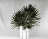Tapete MIAMI INKIEYI1801 - INKIOSTRO BIANCO