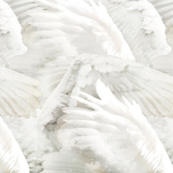 Carta da Parati WINGS INKRABH1801 - INKIOSTRO BIANCO Carta da Parati WINGS INKRABH1801 - INKIOSTRO BIANCO
