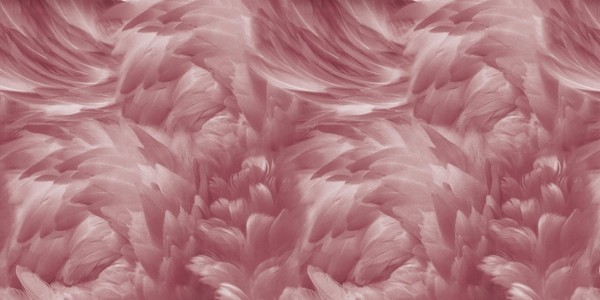 Papier peint WINGS INKRABH1802 - INKIOSTRO BIANCO