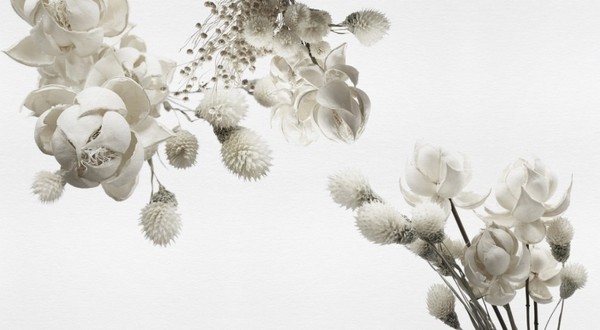 Papel de parede WINTER INKZPUO1801 - INKIOSTRO BIANCO