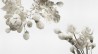 Papel de parede WINTER INKZPUO1801 - INKIOSTRO BIANCO