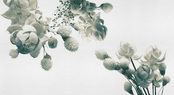 Papier peint WINTER INKZPUO1802 - INKIOSTRO BIANCO