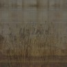CERERERE INKELKF1501
