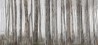 Papier peint LITTLE RED RIDING HOOD INKGFAY1501 - INKIOSTRO BIANCO