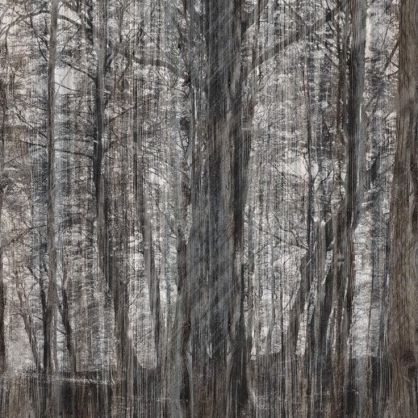 Papel de parede LITTLE RED RIDING HOOD INKGFAY1502 - INKIOSTRO BIANCO Papel de parede LITTLE RED RIDING HOOD INKGFAY1502 - INKIOSTRO BIANCO