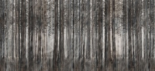 Papier peint ROBIN HOOD INKTORE1502 - INKIOSTRO BIANCO