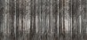 Papier peint ROBIN HOOD INKTORE1502 - INKIOSTRO BIANCO