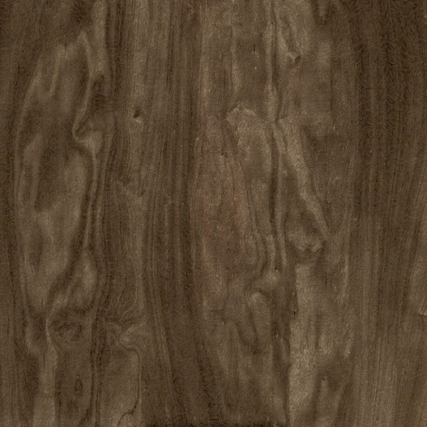 Papier peint OKUMÈ INKBJUD1503 - INKIOSTRO BIANCO Papier peint OKUMÈ INKBJUD1503 - INKIOSTRO BIANCO