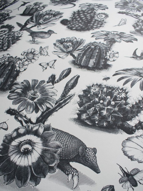 Papel de parede Priscilla Black White DVS006 - DIVINE SAVAGES