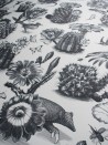 Papel de parede Priscilla Black White DVS006 - DIVINE SAVAGES