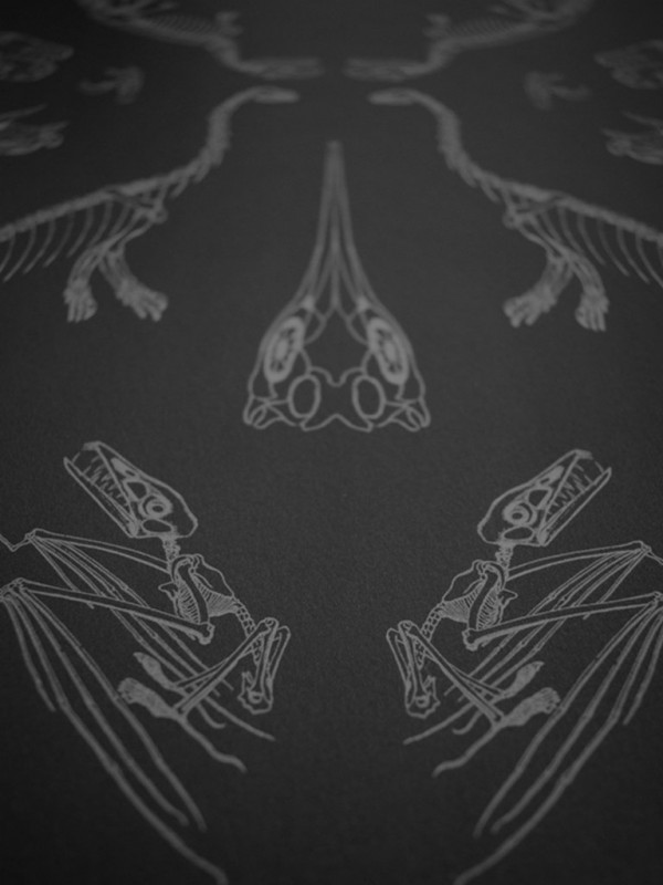 Tapete Prehistoria DVS008   - DIVINE SAVAGES