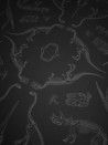 Tapete Prehistoria DVS008   - DIVINE SAVAGES
