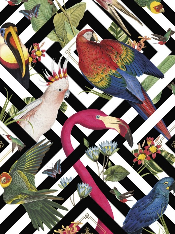 Tapete Geometric Aviary DVS004 - DIVINE SAVAGES