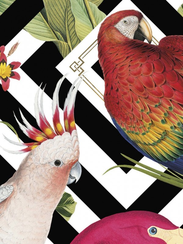 Tapete Geometric Aviary DVS004 - DIVINE SAVAGES