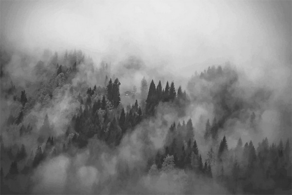Tapete FOGGY HILLS MURAL - ANEWALL