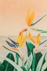 Papier peint MELIKA MURAL - ANEWALL