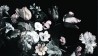 Carta da Parati STILL LIFE FLORAL MURAL - ANEWALL