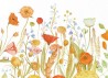 Papel de parede WILDFLOWER MURAL - ANEWALL