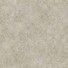 Carta da Parati 113-9026 Patina Haze - COLE and SON