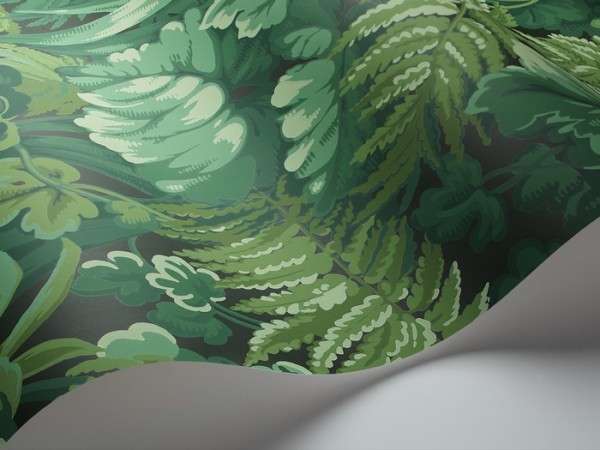Wallpaper 113-3009 Royal Fernery - COLE and SON