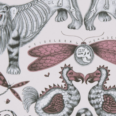 Papel Pintado Extinct Pink WP W0100-05 - CLARKE & CLARKE