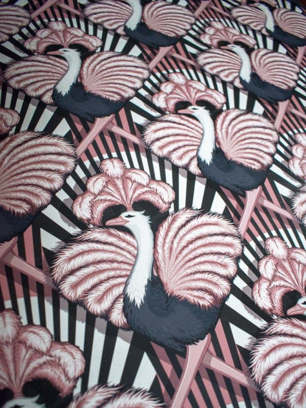 Papel de parede Zsa Zsa Candy DVS009 - DIVINE SAVAGES