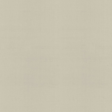 Wallpaper PLAIN BOHÉME-FALSTAFF N. GA4 9091 - ARMANI CASA