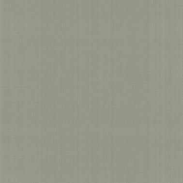 Papel Pintado PLAIN SALOMÉ-IOLANTA-NABUCCO-LOHENGRIN N. GA4 9065 - ARMANI CASA