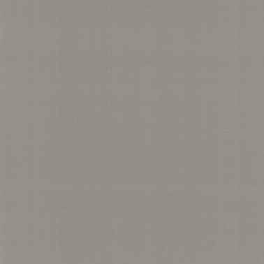 Papel Pintado PLAIN SALOMÉ-IOLANTA-NABUCCO-LOHENGRIN N. GA4 9064 - ARMANI CASA