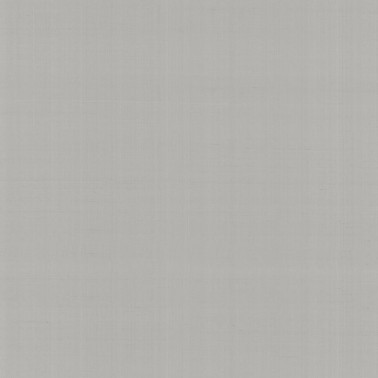 Papel Pintado PLAIN SALOMÉ-IOLANTA-NABUCCO-LOHENGRIN N. GA4 9062 - ARMANI CASA