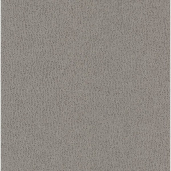 Wallpaper SCOL 80541323 - Casadeco Wallpaper SCOL 80541323 - Casadeco